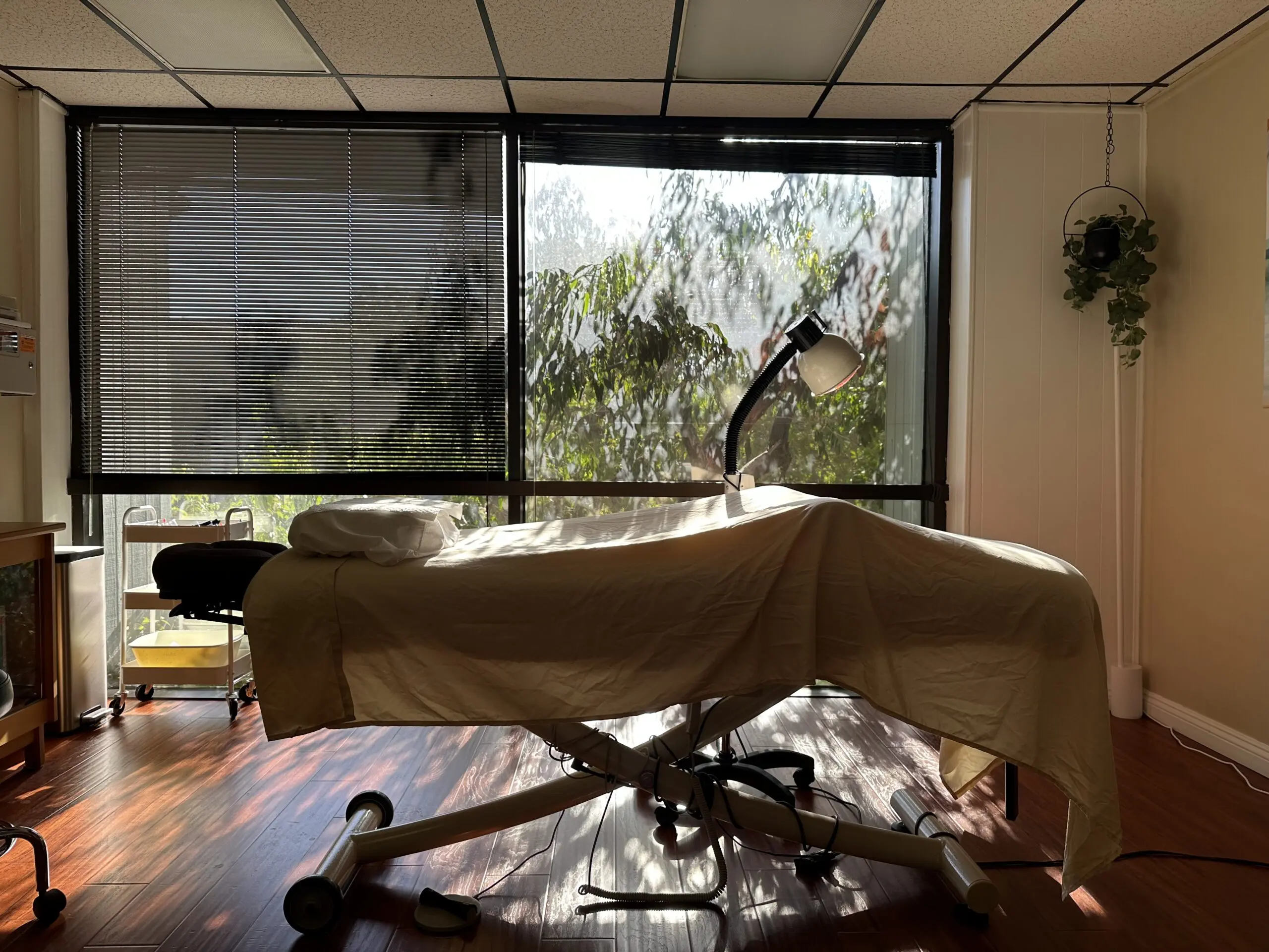 acupuncture San Diego